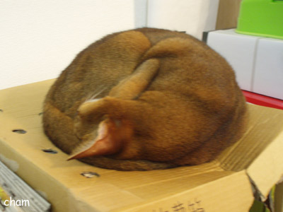 c0132438_2239287.jpg
