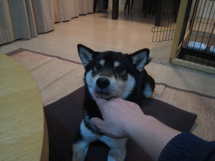 f0058241_18435435.jpg