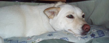 f0195543_22291821.jpg