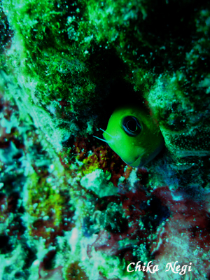 e0027447_23514284.jpg