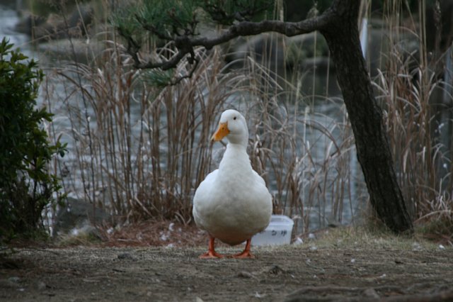 f0171559_2311856.jpg
