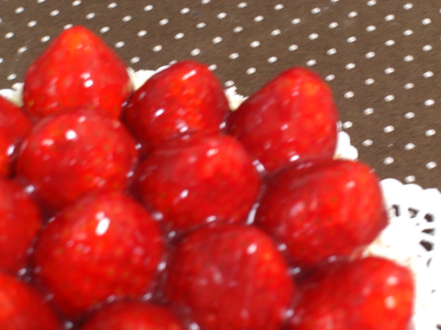 c0169360_1013553.jpg