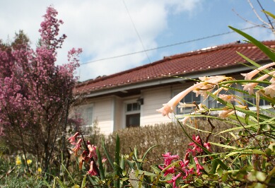 f0121167_15121173.jpg
