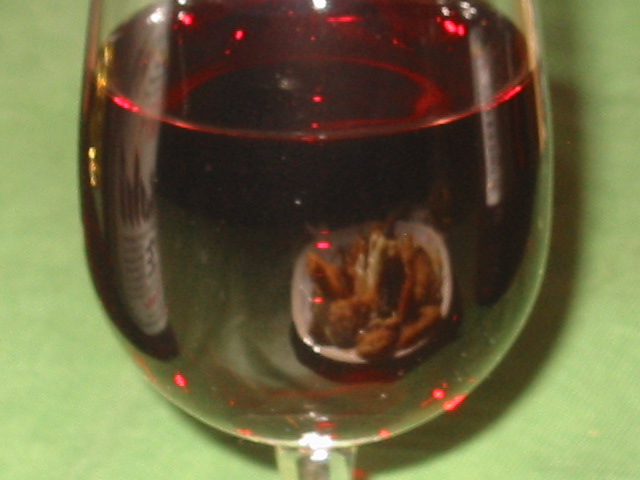 d0094868_105296.jpg