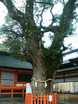f0054677_10104163.jpg