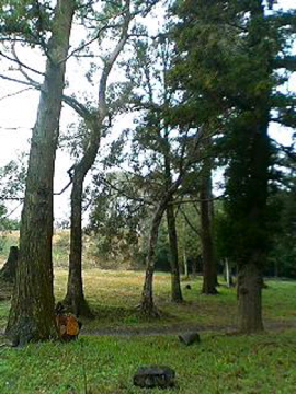 f0054677_1012417.jpg