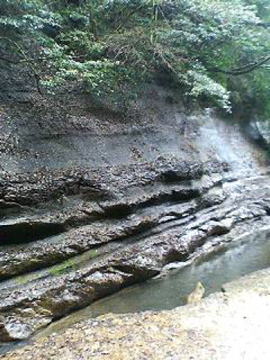 f0054677_1016597.jpg