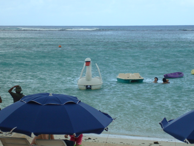 f0062680_23271474.jpg