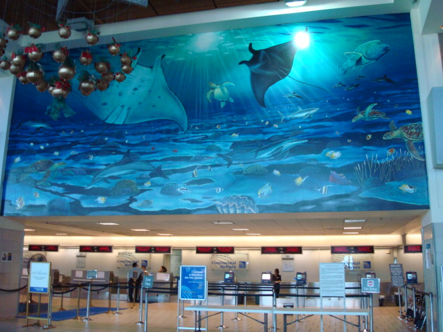 f0062680_23492931.jpg