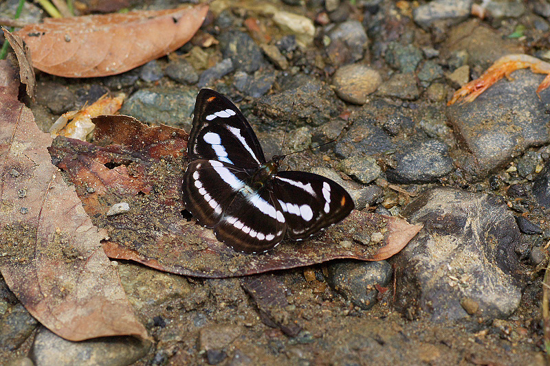 f0090680_21385261.jpg