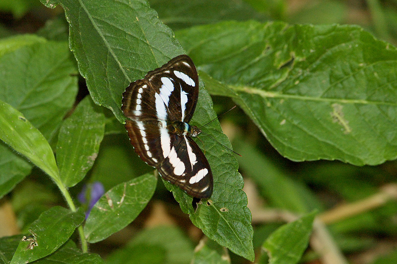 f0090680_2139974.jpg