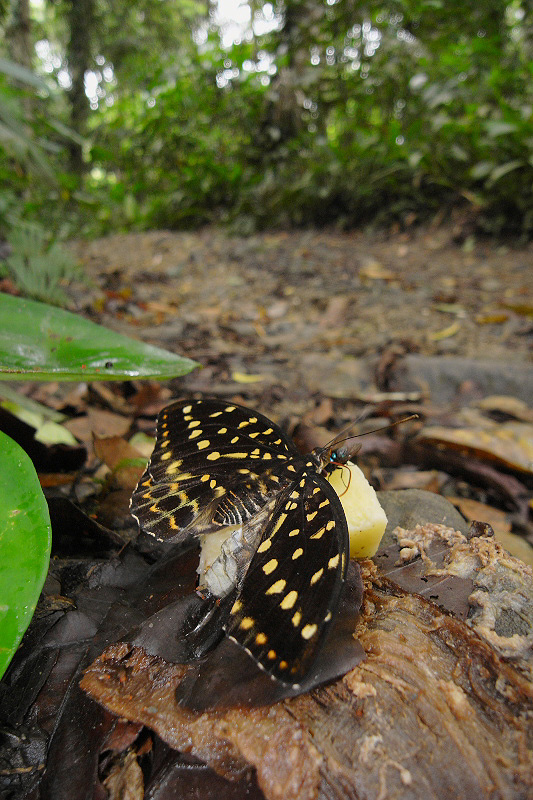 f0090680_21404874.jpg