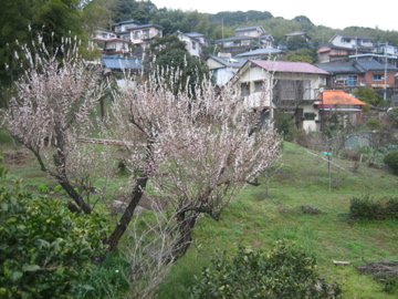 d0020686_14255136.jpg