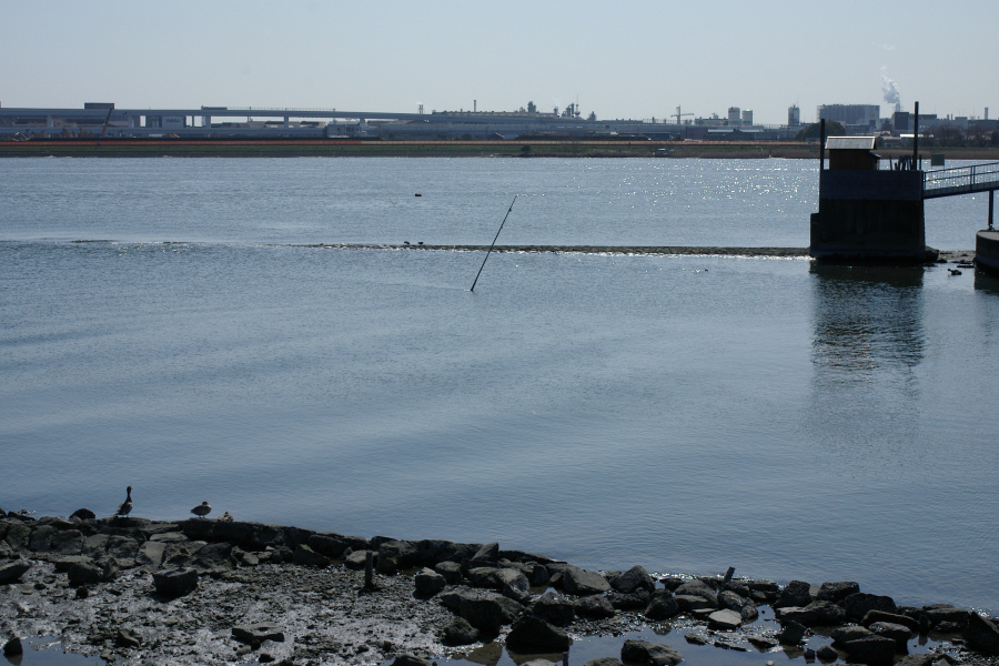 e0051186_20152582.jpg