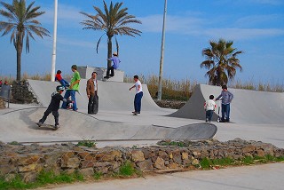 e0155786_6372137.jpg
