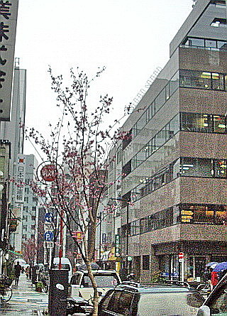 c0138198_21365116.jpg