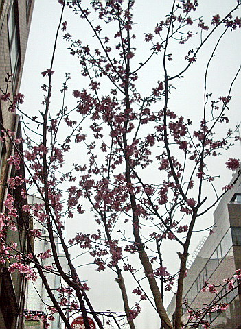 c0138198_2139485.jpg