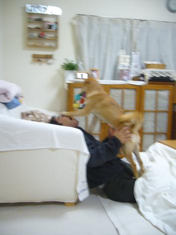 c0182706_12482244.jpg