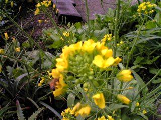 d0104209_21491340.jpg
