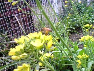 d0104209_21492447.jpg