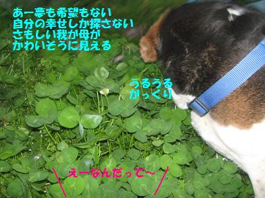 d0104209_226173.jpg