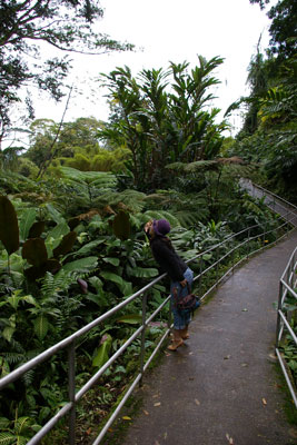 c0026612_812456.jpg