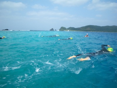 b0089616_15214524.jpg