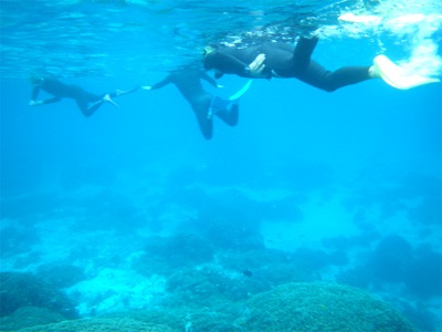 b0089616_15223626.jpg