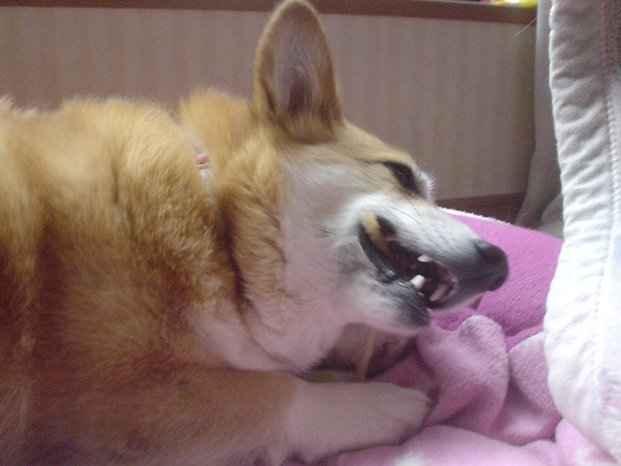 c0150520_12562250.jpg