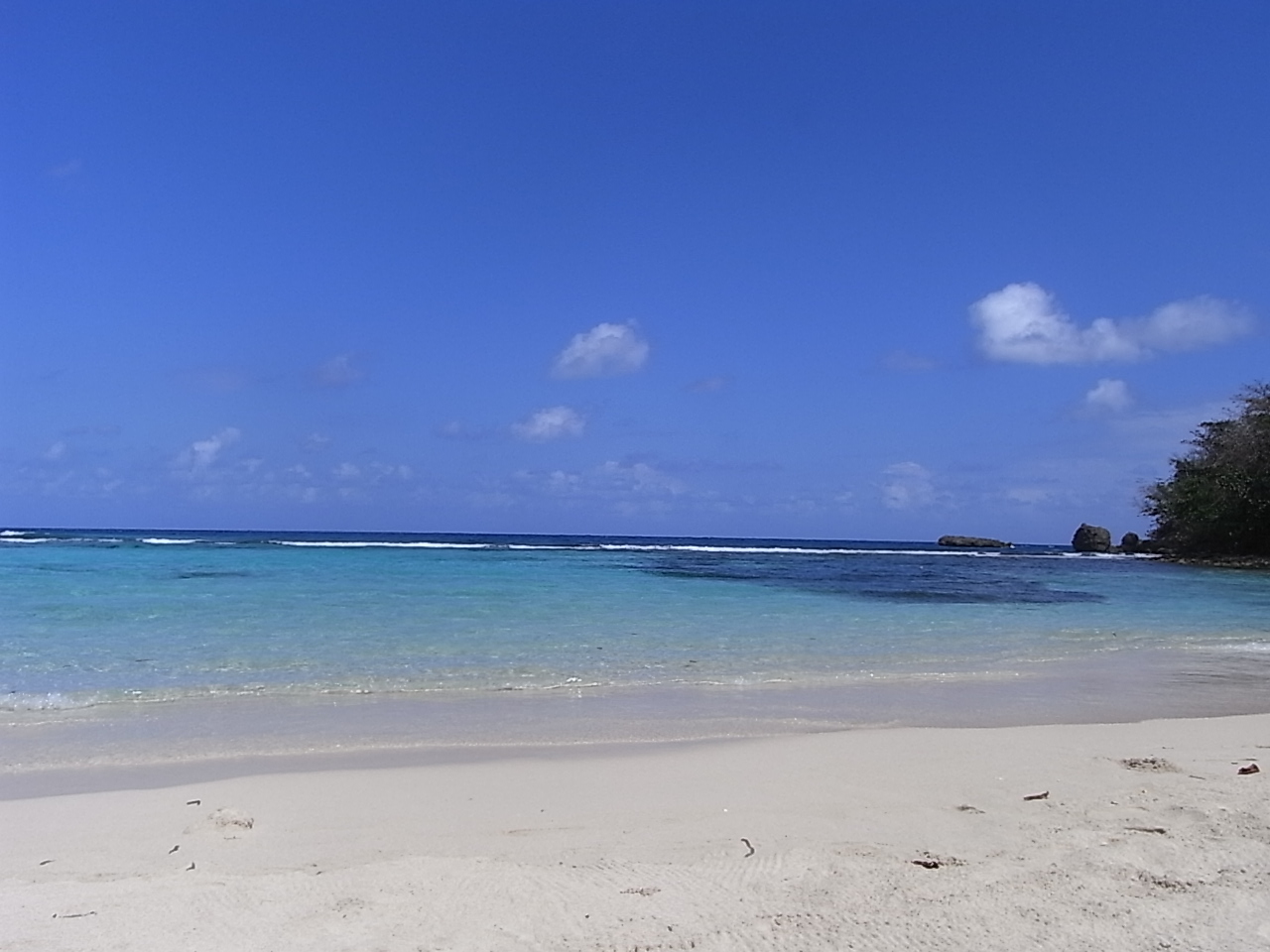 f0169328_8565167.jpg