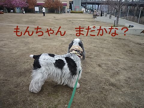 a0045636_23414355.jpg