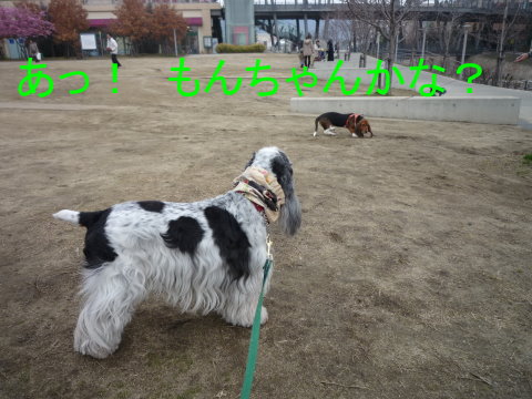 a0045636_2342079.jpg
