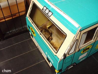 c0132438_22252321.jpg