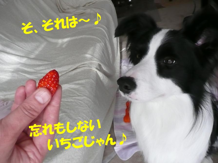 c0147241_1103460.jpg