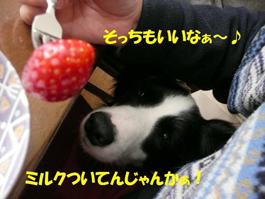 c0147241_1111432.jpg
