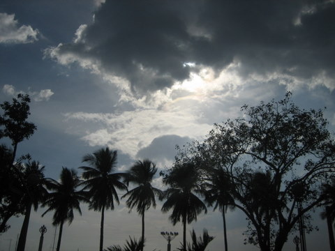 e0018143_147378.jpg