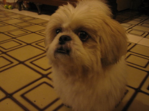 e0018143_225015.jpg