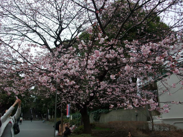e0114543_13212585.jpg