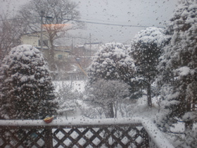 c0153444_6582974.jpg