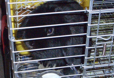 e0172144_001547.jpg