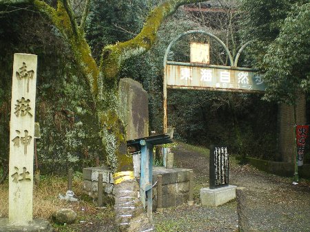c0042847_18271039.jpg