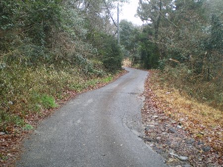 c0042847_18311359.jpg