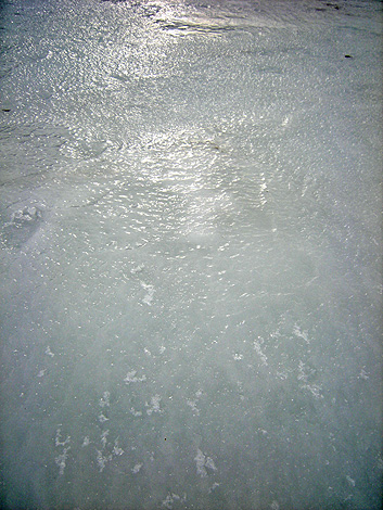 a0001354_20431354.jpg