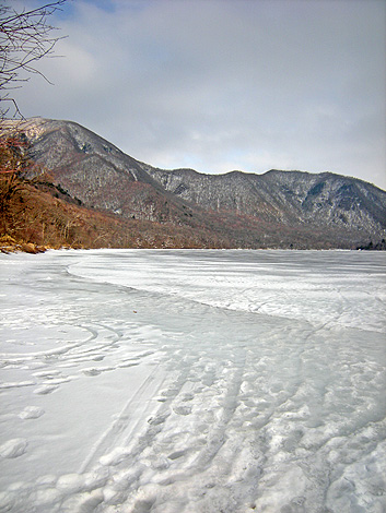 a0001354_20491534.jpg