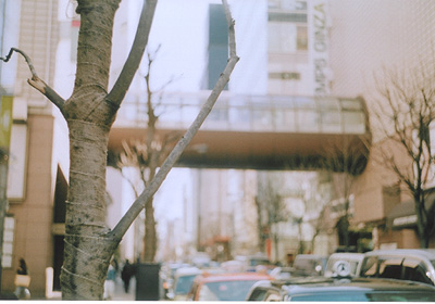b0008655_23513786.jpg