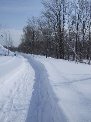 f0149057_11244274.jpg