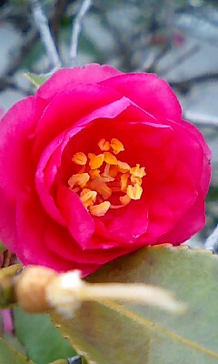 d0076760_21311339.jpg