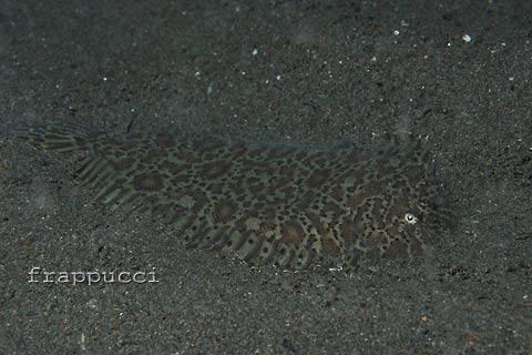 d0056263_23184594.jpg