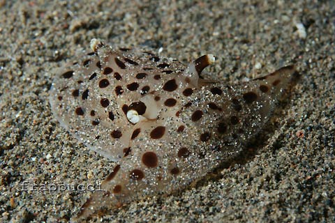 d0056263_23262589.jpg