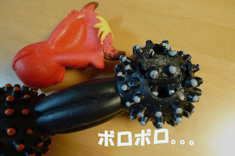 d0043478_2361520.jpg